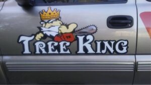 treeking6